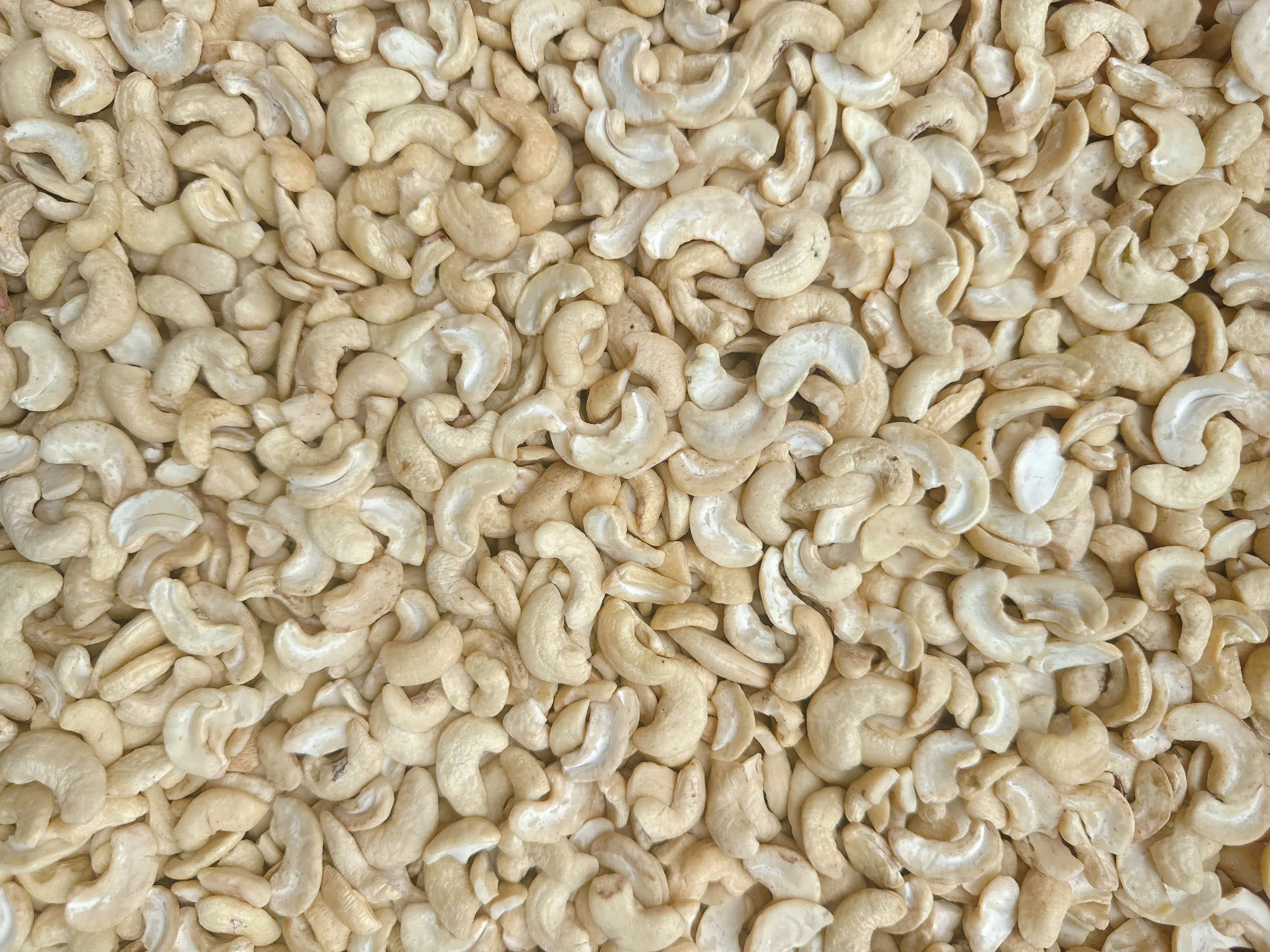 WS cashew kernels